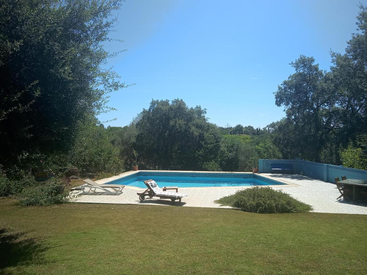 Sotogrande - Estancia En Plena Naturaleza - Abril Dış mekan fotoğraf