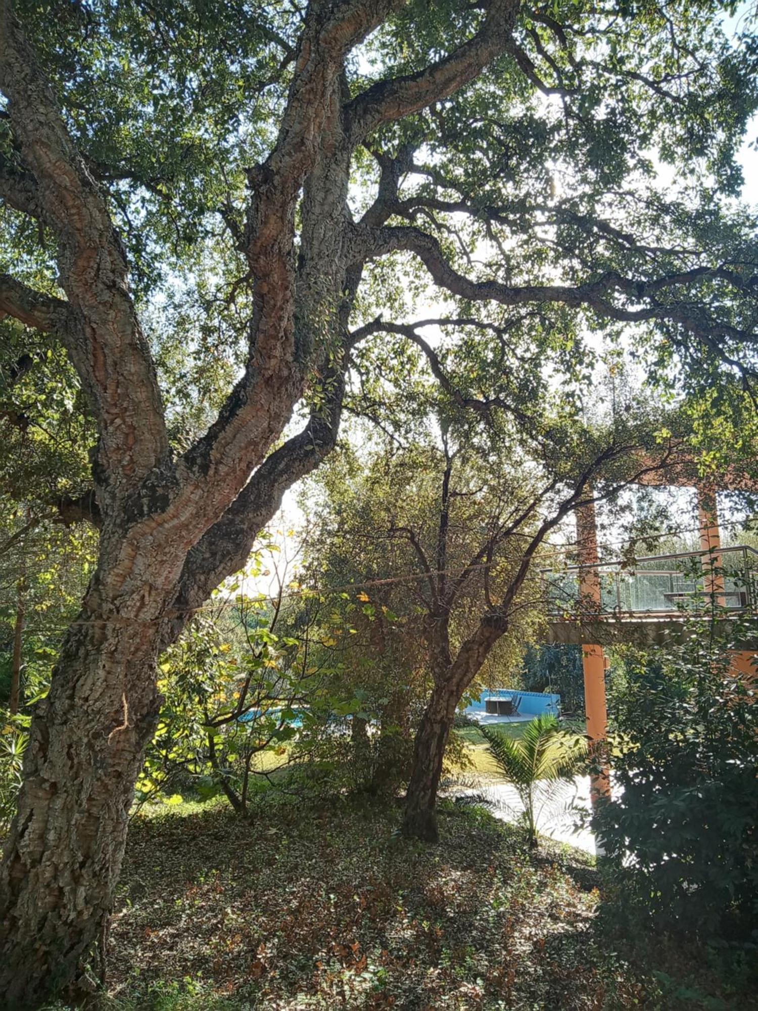 Sotogrande - Estancia En Plena Naturaleza - Abril Dış mekan fotoğraf