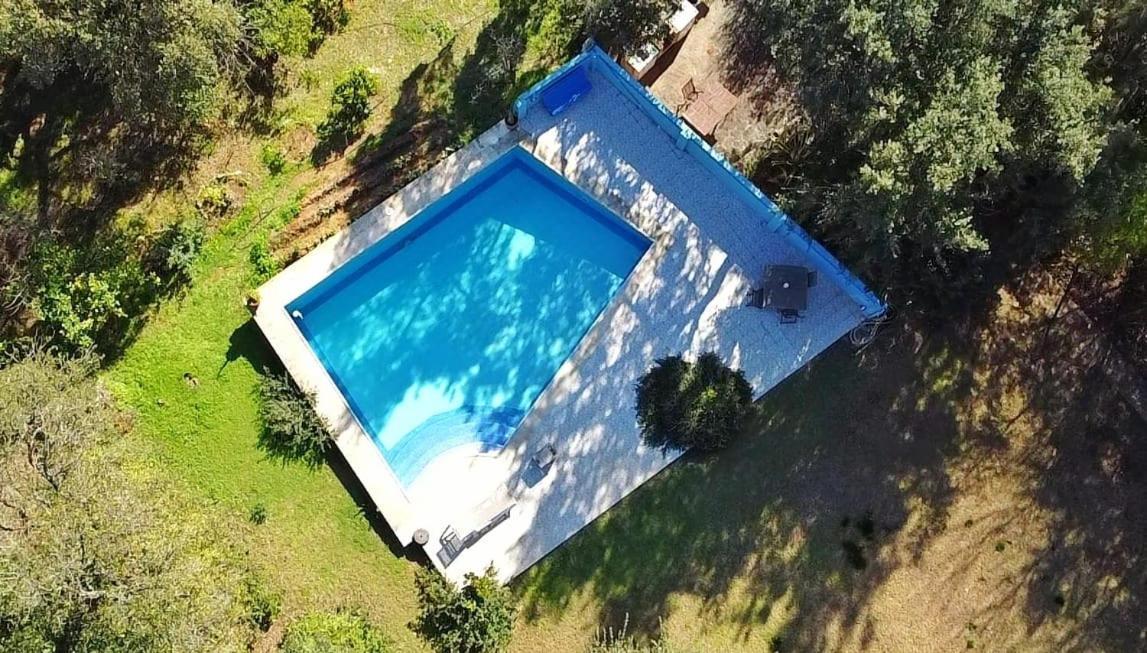 Sotogrande - Estancia En Plena Naturaleza - Abril Dış mekan fotoğraf
