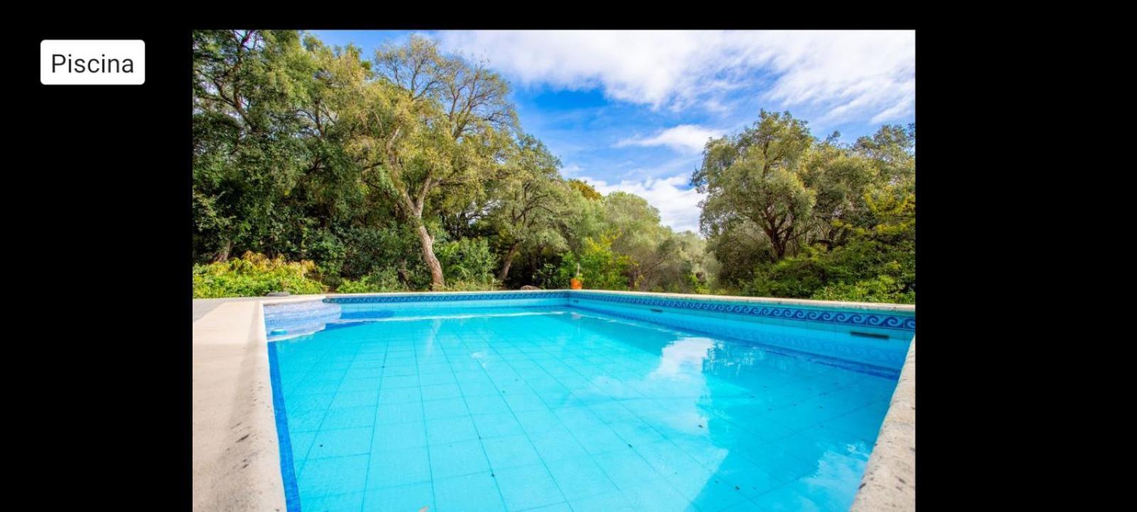 Sotogrande - Estancia En Plena Naturaleza - Abril Dış mekan fotoğraf