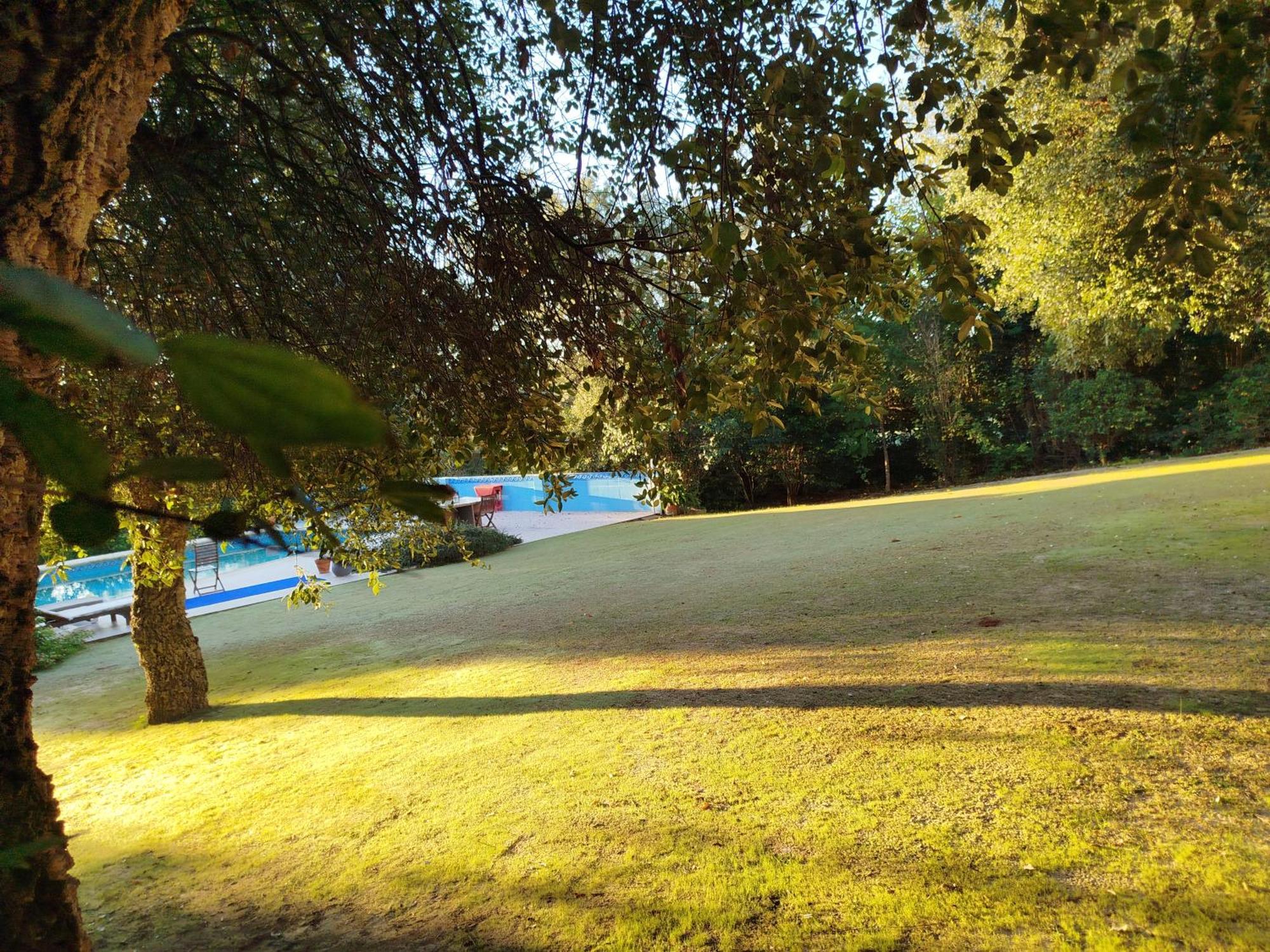 Sotogrande - Estancia En Plena Naturaleza - Abril Dış mekan fotoğraf